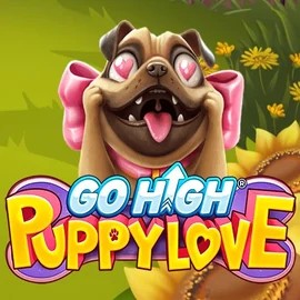 Play Go High Puppy Love slot by RubyPlay on gransinocasino.eu.com